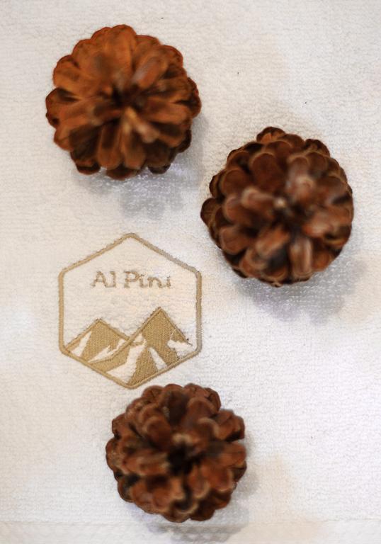 Alpini Zakopane